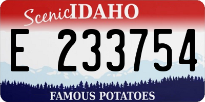 ID license plate E233754