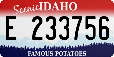 ID license plate E233756