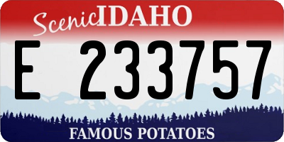 ID license plate E233757