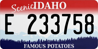 ID license plate E233758