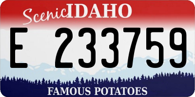 ID license plate E233759