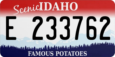 ID license plate E233762