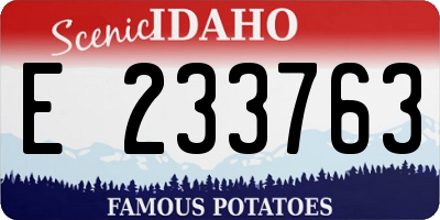 ID license plate E233763