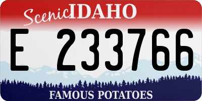 ID license plate E233766