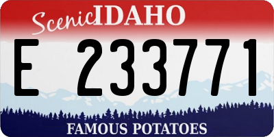 ID license plate E233771