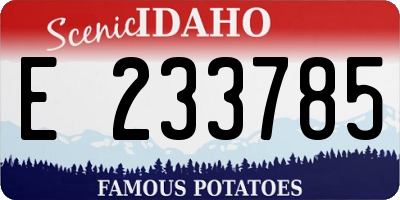 ID license plate E233785