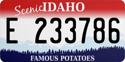 ID license plate E233786