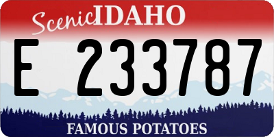 ID license plate E233787