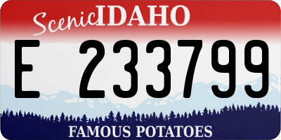 ID license plate E233799