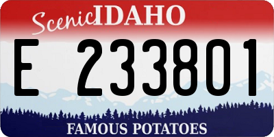 ID license plate E233801