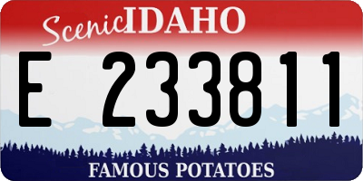 ID license plate E233811