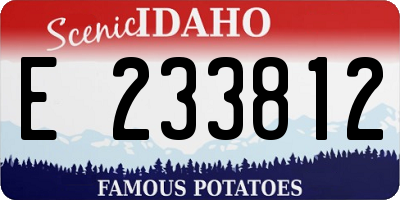 ID license plate E233812