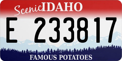 ID license plate E233817
