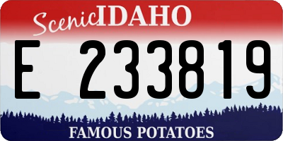 ID license plate E233819