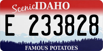 ID license plate E233828
