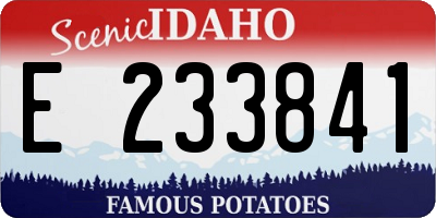 ID license plate E233841