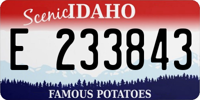 ID license plate E233843