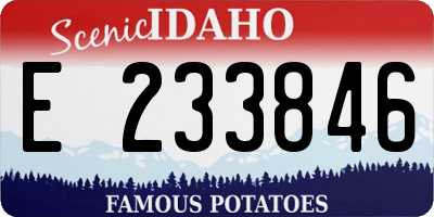ID license plate E233846