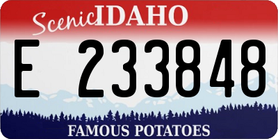 ID license plate E233848