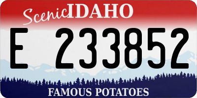 ID license plate E233852