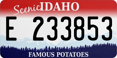 ID license plate E233853