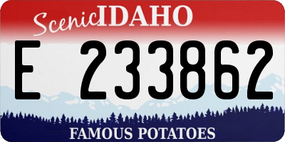 ID license plate E233862