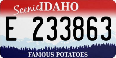 ID license plate E233863