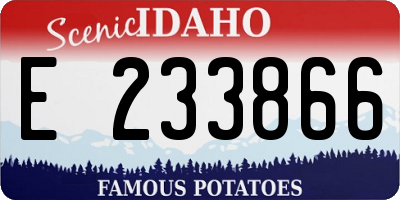 ID license plate E233866