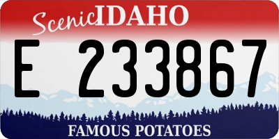 ID license plate E233867