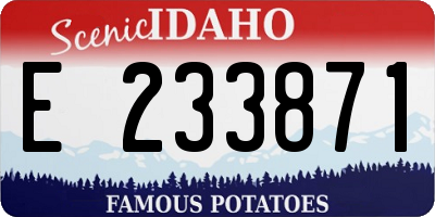 ID license plate E233871