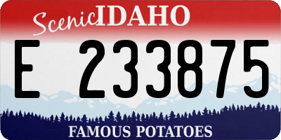 ID license plate E233875