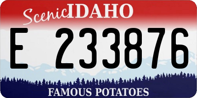 ID license plate E233876