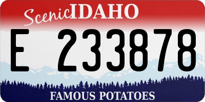 ID license plate E233878