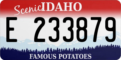 ID license plate E233879