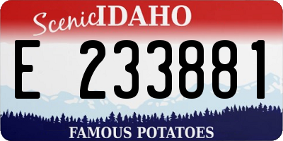 ID license plate E233881