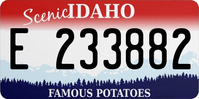 ID license plate E233882