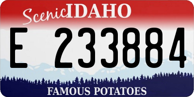 ID license plate E233884