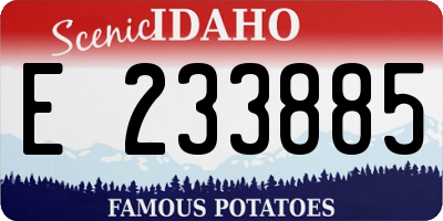 ID license plate E233885