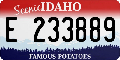 ID license plate E233889
