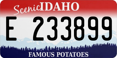 ID license plate E233899
