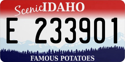 ID license plate E233901