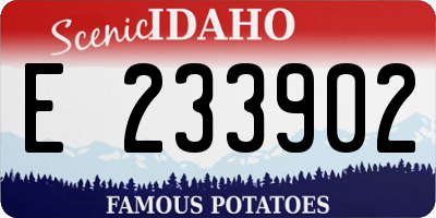 ID license plate E233902