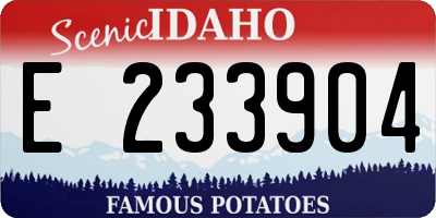ID license plate E233904