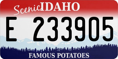 ID license plate E233905