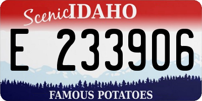 ID license plate E233906