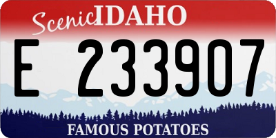 ID license plate E233907