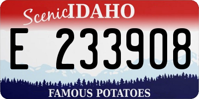 ID license plate E233908