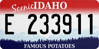 ID license plate E233911