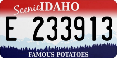 ID license plate E233913