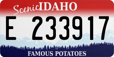 ID license plate E233917